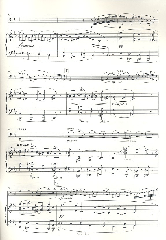 Romanze op.62 für Fagott und Orchester