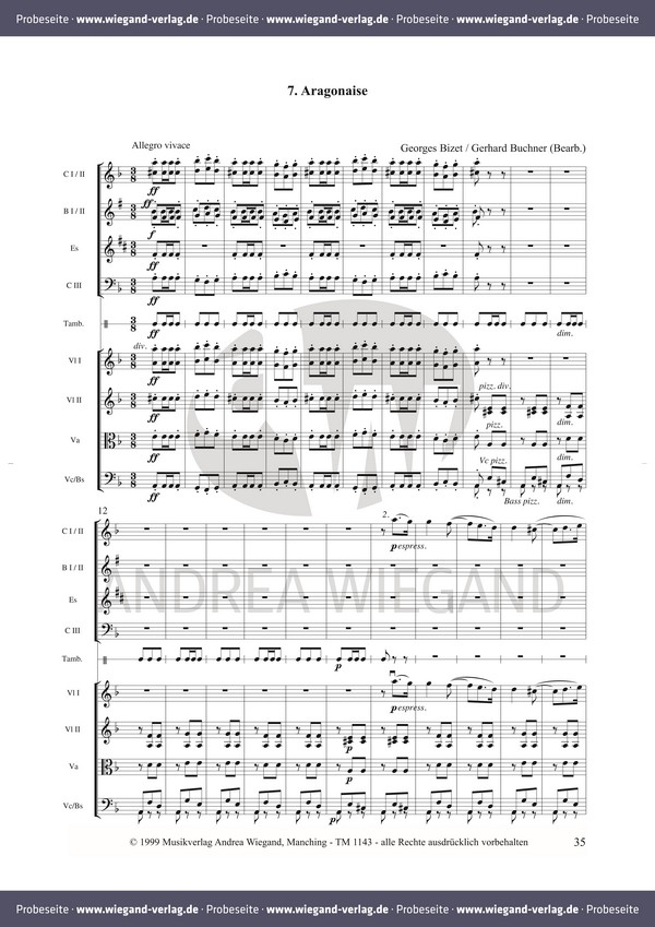 Carmen in Concert