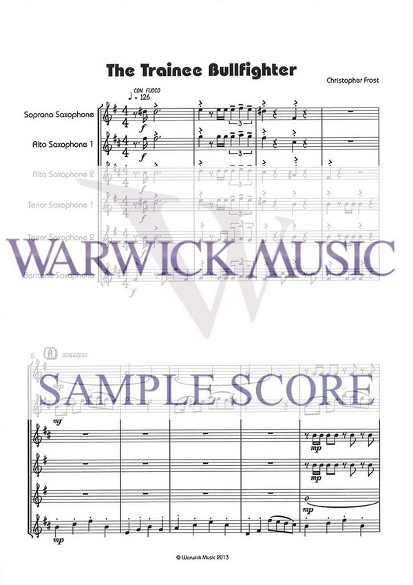 Christopher Frost, The Trainee Bullfighter