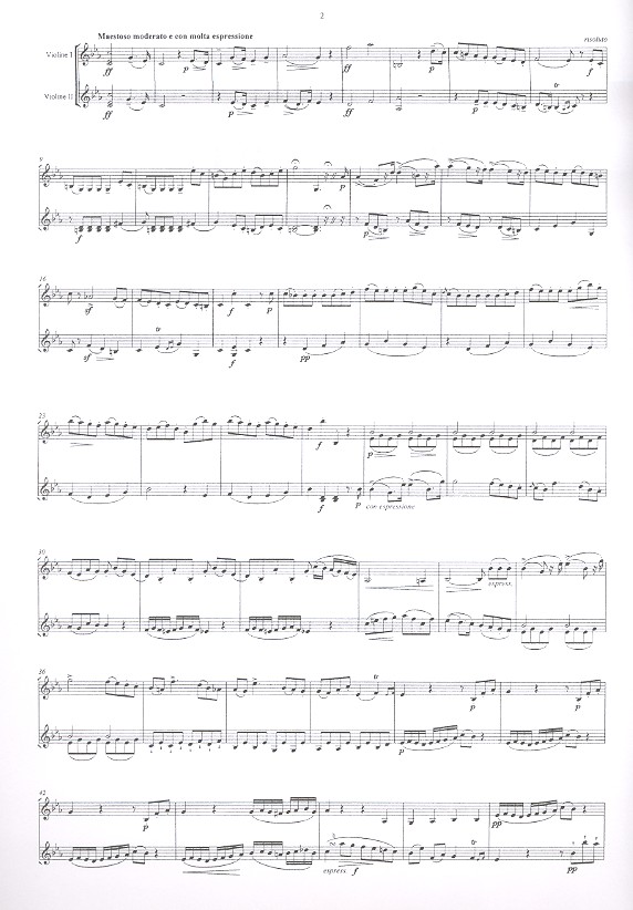 Duo c-Moll op.29,3