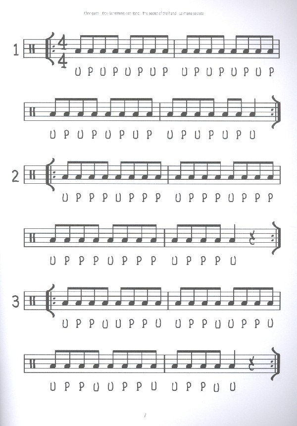 Changuito - Das Geheimnis der Hand (+DVD)