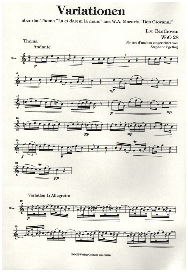 Variationen über das Thema "La ci darem la mano"