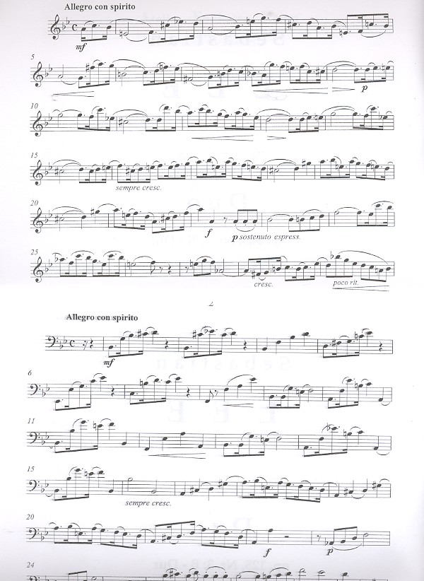 Duo B-Dur op.125,3 für Violine und