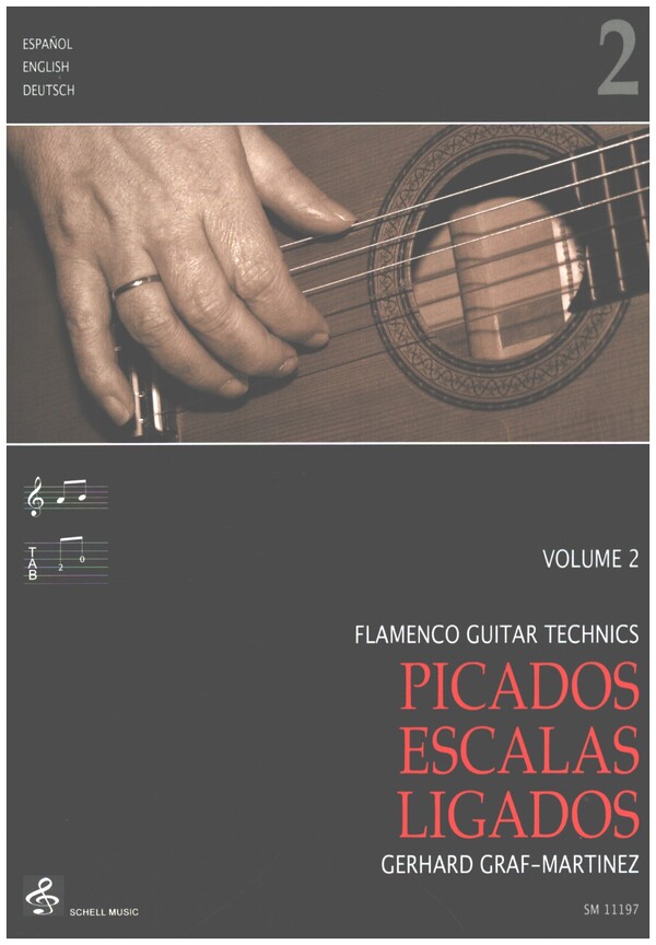 Flamenco Guitar Technics 2