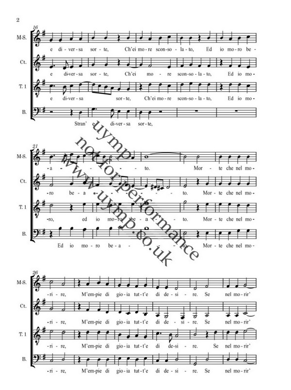 Libro di fiammelle e ombre