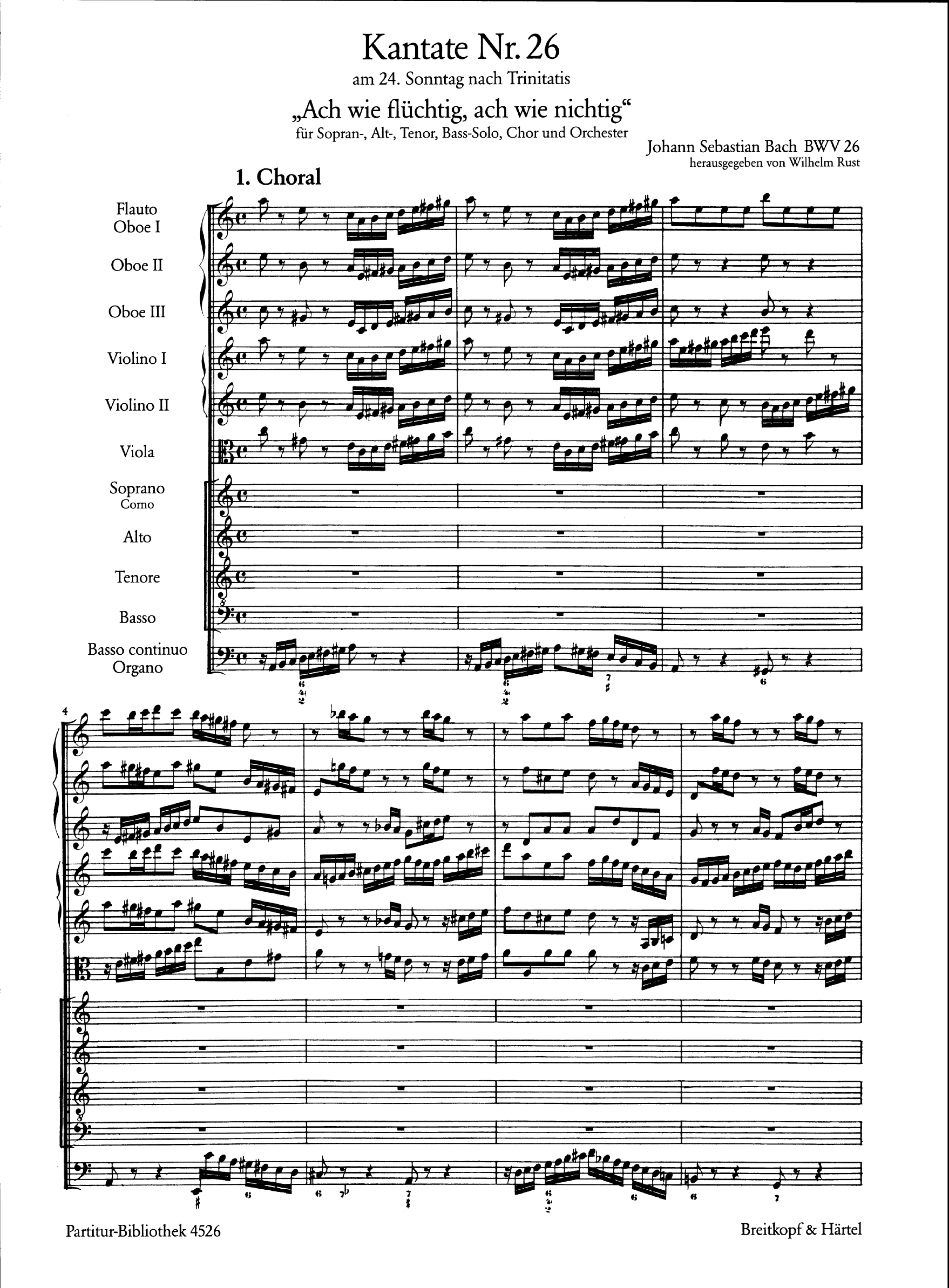 Ach wie flüchtig ach wie nichtig