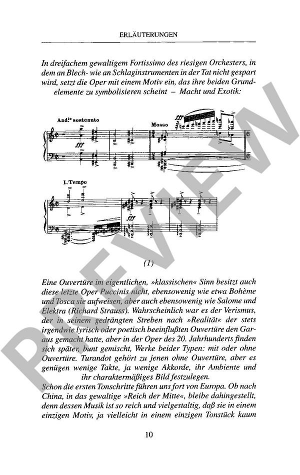 Turandot Textbuch, Einführung
