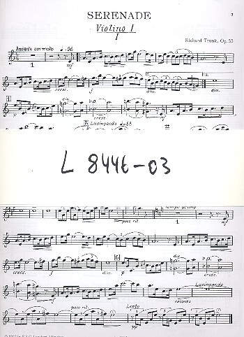 Eine kleine Serenade op.55