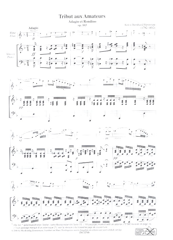 Flöten-Journal Band 4