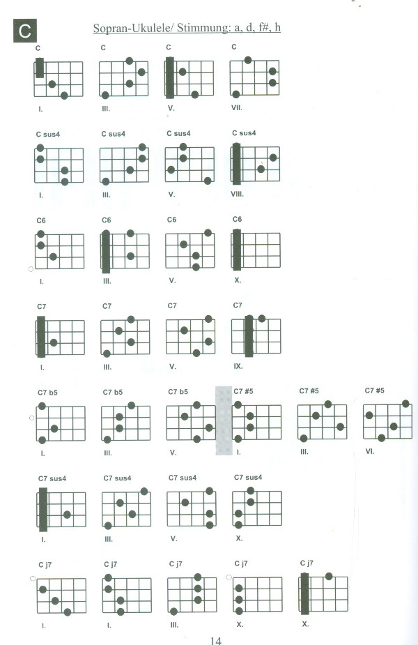 Das große Ukulele Handbuch
