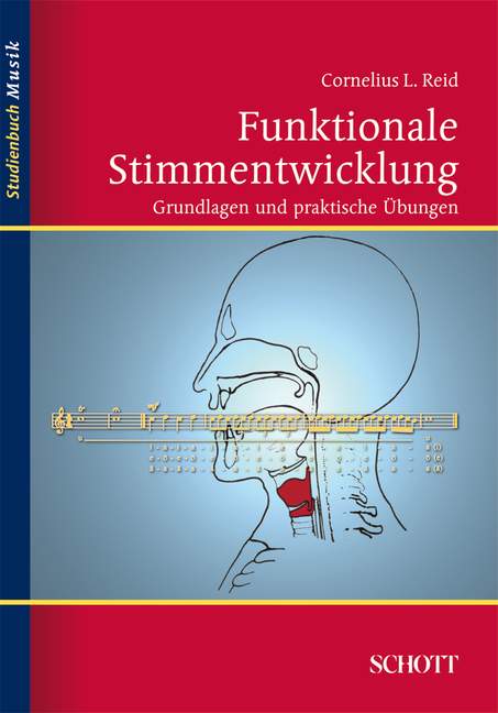 Funktionale Stimmentwicklung