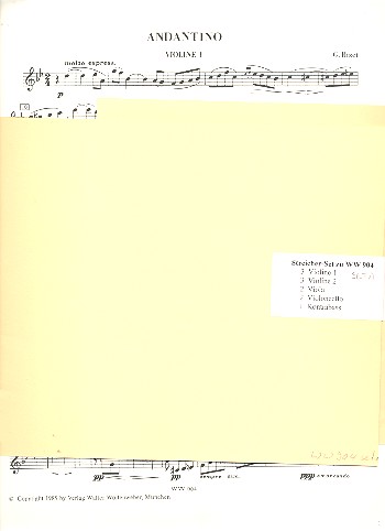 Andantino für Streichorchester
