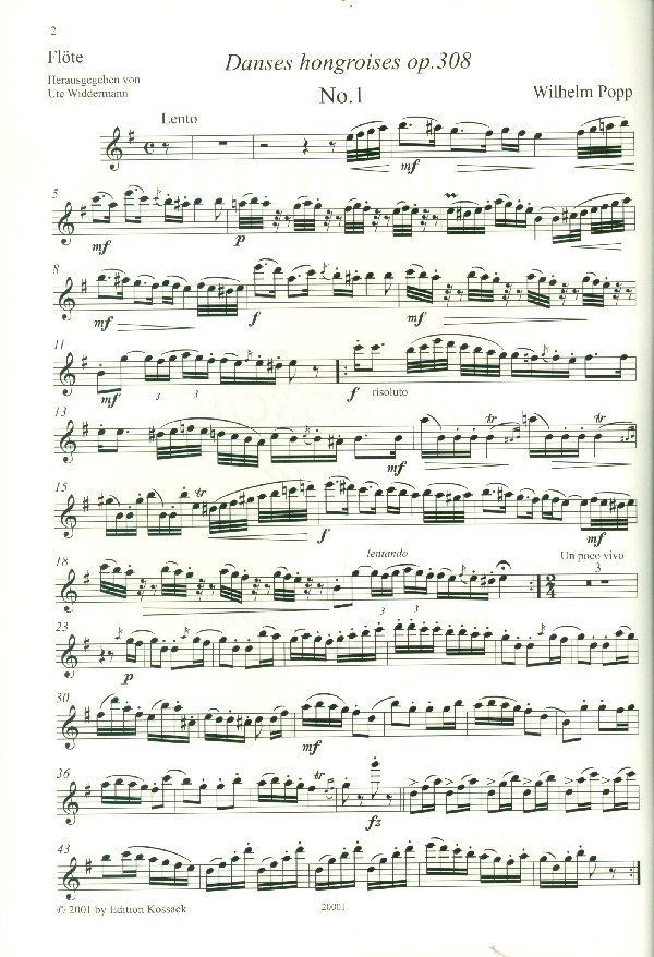 Ungarische Tänze op.308
