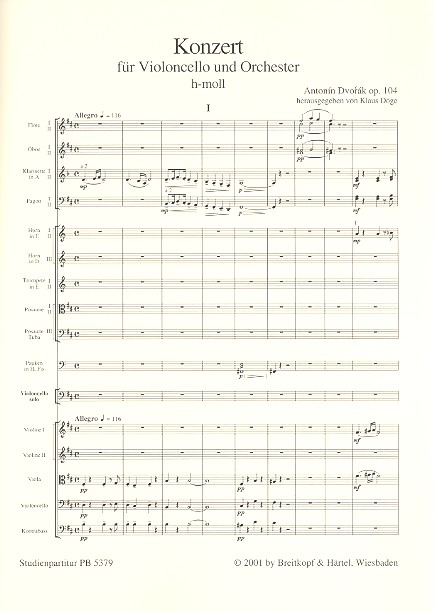 Konzert h-Moll op.104