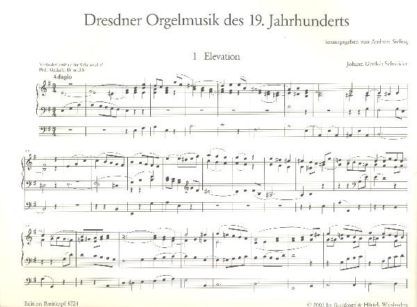Dresdner Orgelmusik des 19. Jahrhunderts