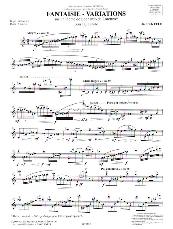 Fantaisie-variations sur un theme de