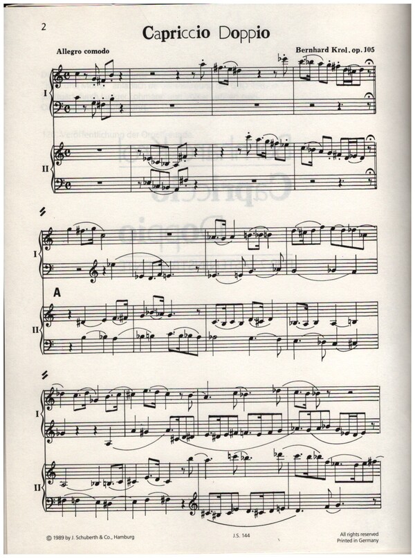 Capriccio Doppio op.105