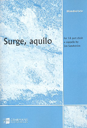 Surge aquilo