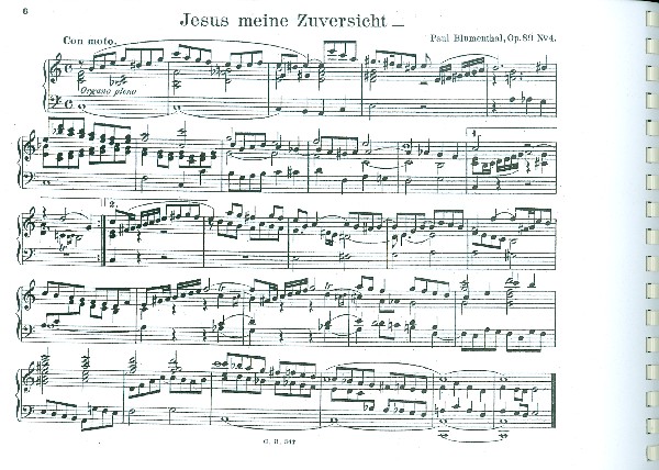 9 Festvorspiele op.89 zu