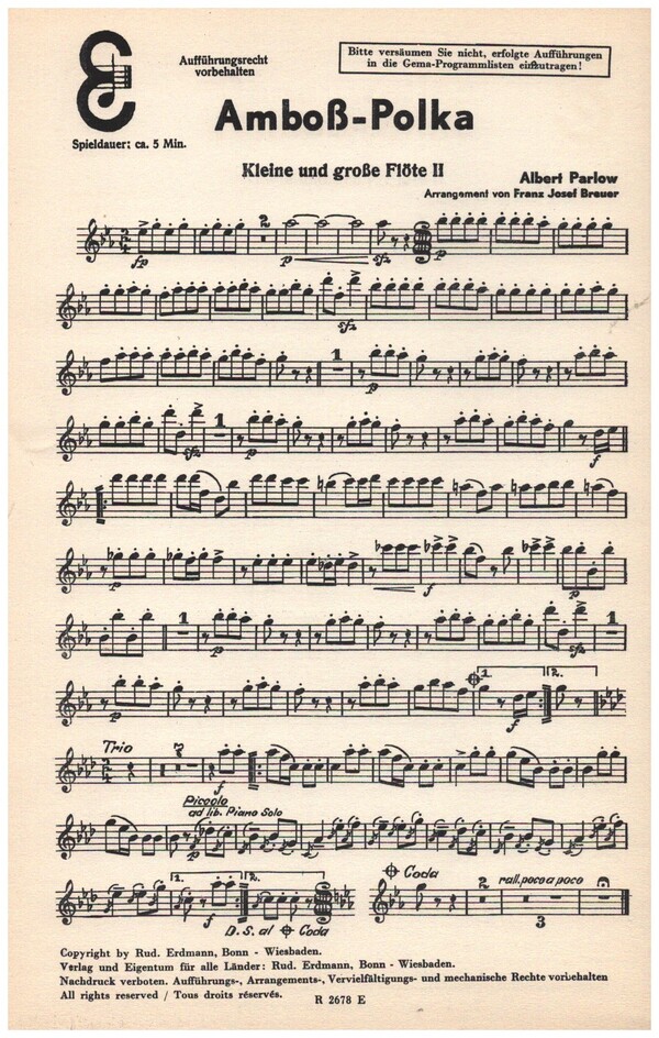 Amboß-Polka: für Salonorchester