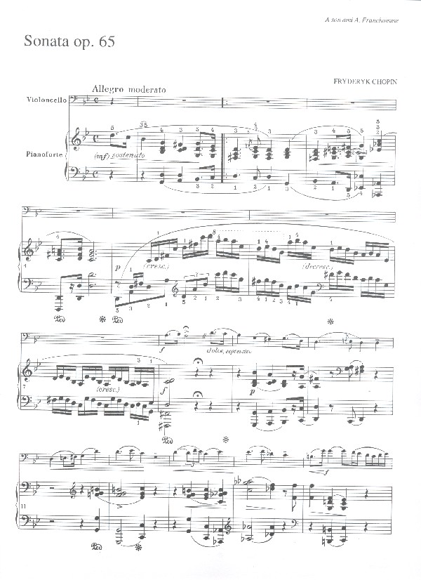 Sonata op.65 for Violoncello (Viola)