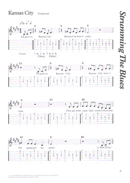 The complete blues and ragtime guitar player