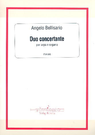 Duo concertante op.119