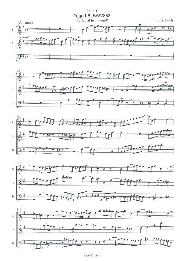 Fuge Nr.8 aus dem Wohltemperierten
