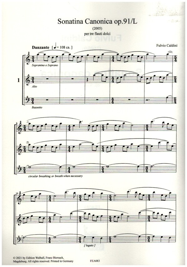 Sonatina canonica op.91/L