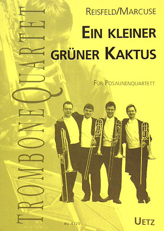 Mein kleiner grüner Kaktus für