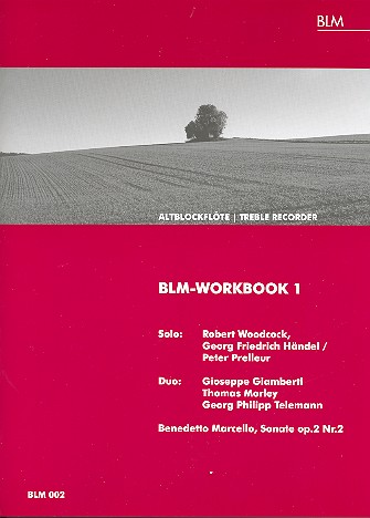BLM-Workbook 1
