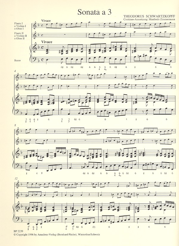 Triosonate d-Moll für 2 Flöten