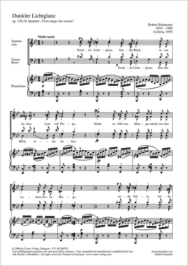 Dunkler Lichterglanz op.138,10 für
