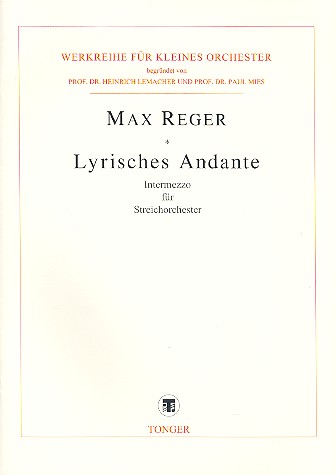 Lyrisches Andante für Streichorchester