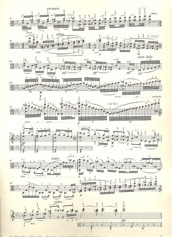 Sonata op.28 for viola