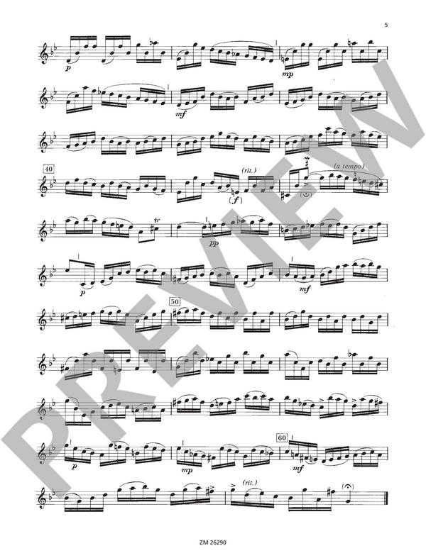 Partita g-Moll BWV1013