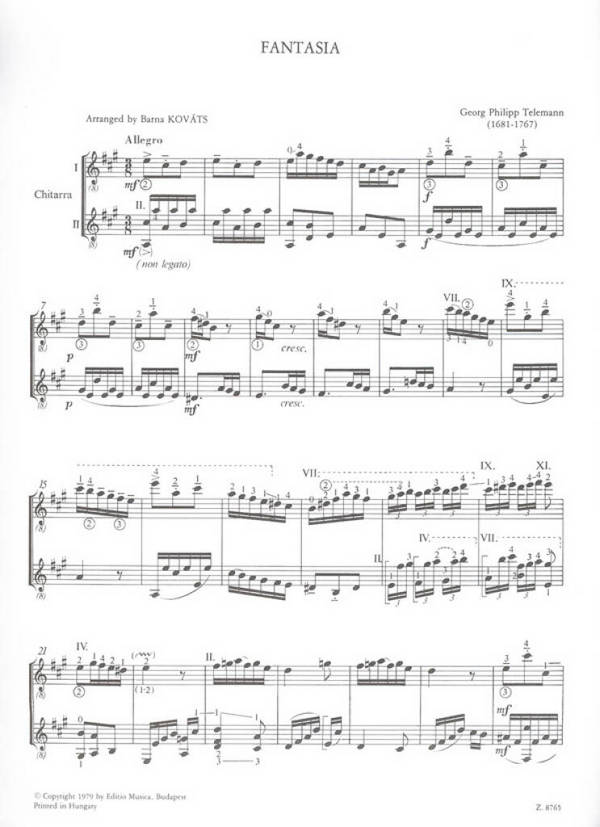 Fantasia per 2 chitarre