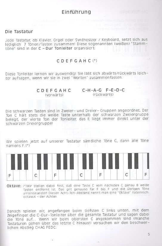 Der Tastenlöwe ein spielerischer