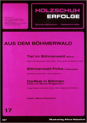 Holzschuh-Erfolge Band 17 für