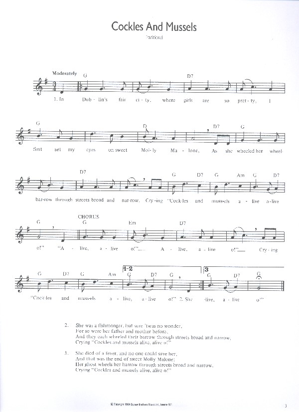 Irish Music for recorder