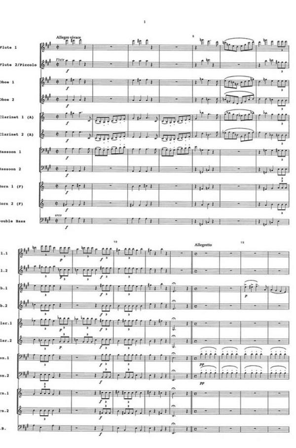 Die Fledermaus Ouvertüre für