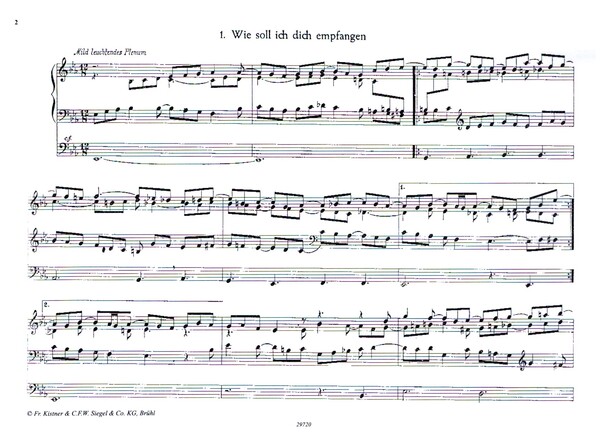 Chemnitzer Orgelbuch