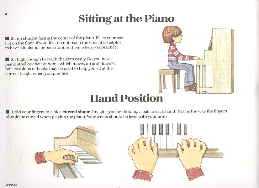 Piano for the young Beginner