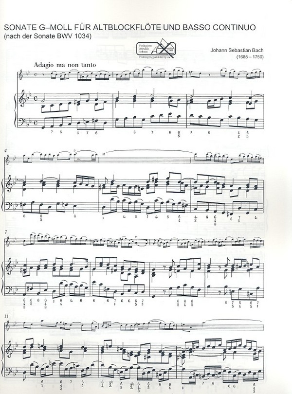Sonate g-Moll (nach BWV1034)