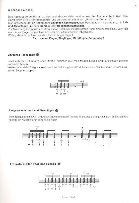 Wie spiele ich Flamencogitarre (+CD)