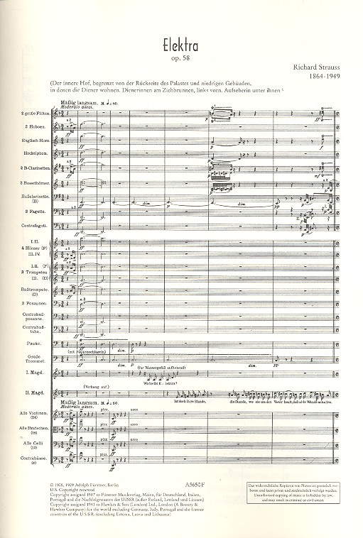 Elektra op. 58