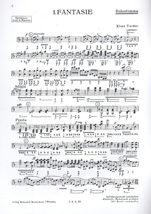 Der Künstler auf der Handharmonika