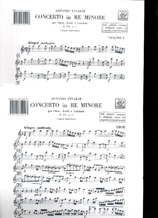 Concerto re minore F.VII:1