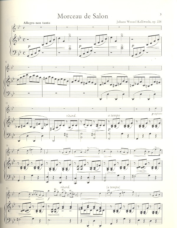 Morceau de Salon op.228