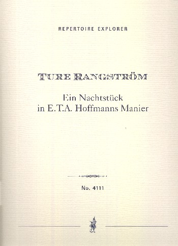 Ein Nachtstück in E.T.A.Hoffmanns Manier